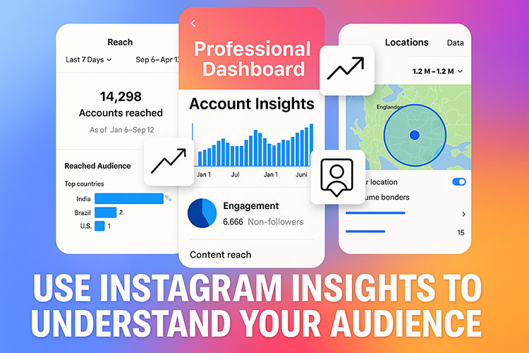 Instagram Insights to Understand Your Audience