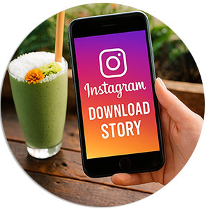 instagram story downloader online